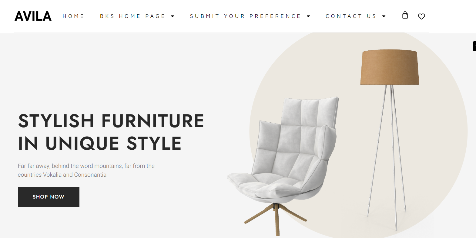 Interior-Decoration-Firnitra-FURA2024